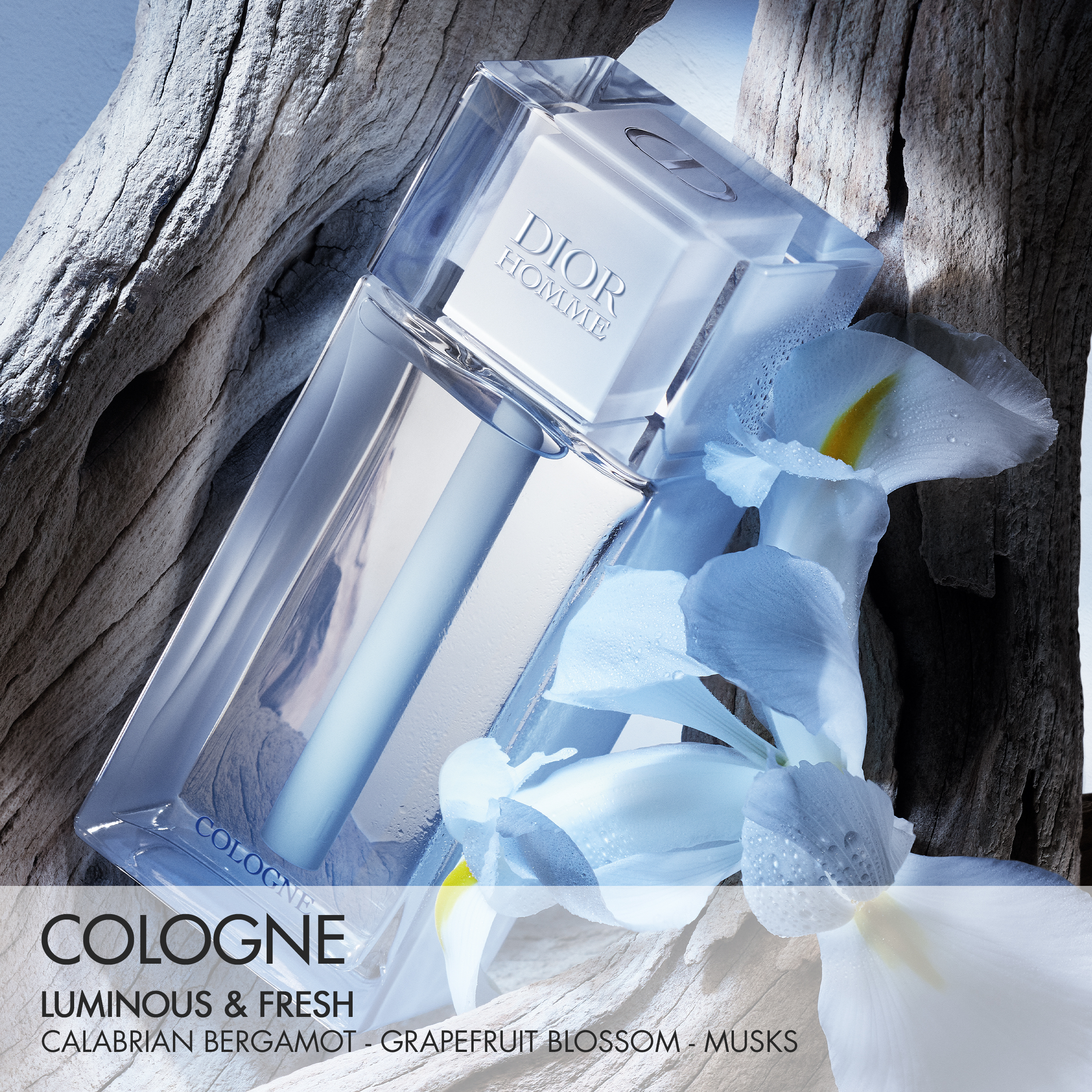 Dior Homme Cologne 125ml コロン DIOR】 ディオール オム コロン - フレグランス