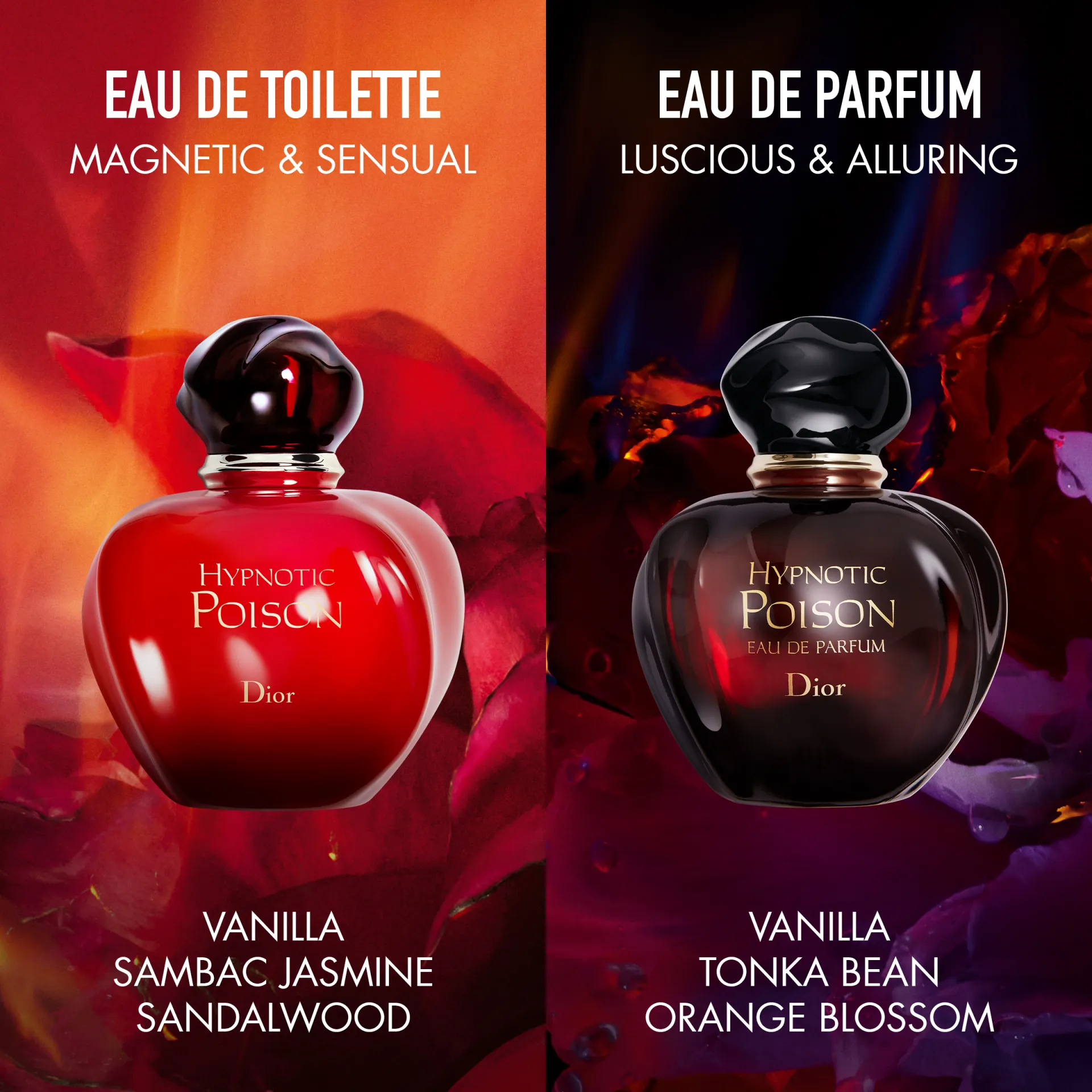 DIOR HYPNOTIC POISON Eau de Toilette (EdT) | Alina Cosmetics