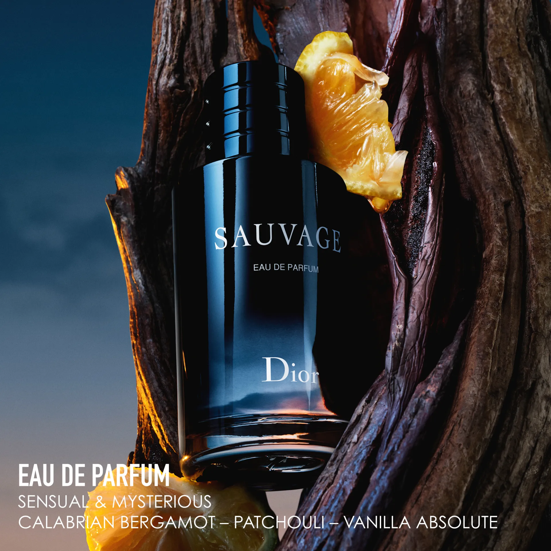 DIOR SAUVAGE Eau de Parfum (EdP) | Alina Cosmetics
